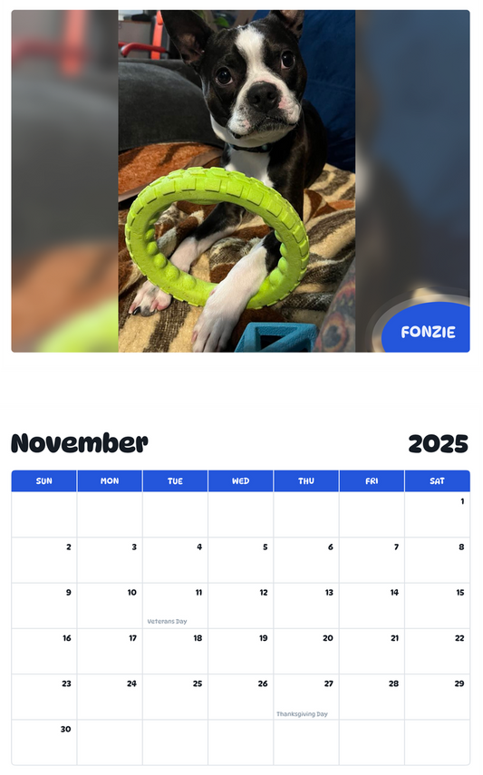 July 2025 - June 2026 Fonzie - Pawidols Pet Calendar