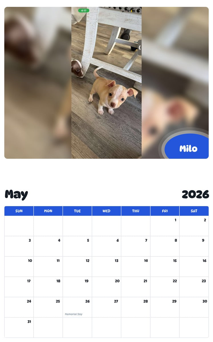 2026 - 2027 Milo - Pawidols Pet Calendar