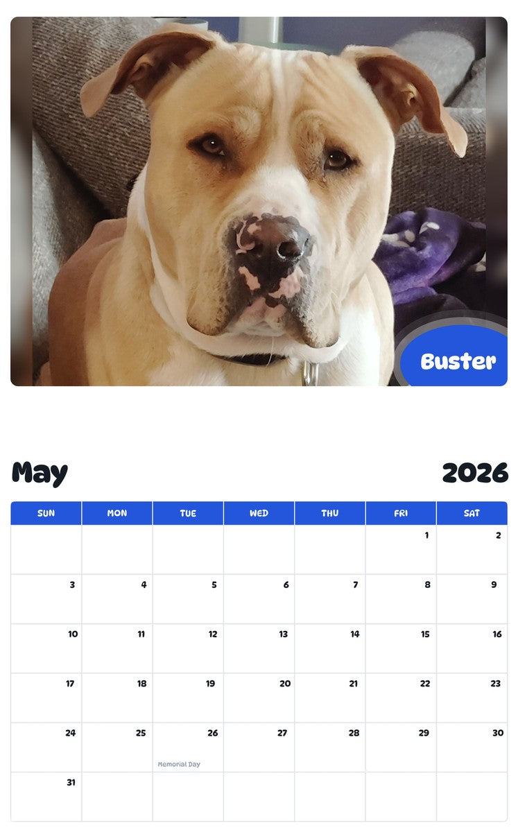 2026 - 2027 Buster - Pawidols Pet Calendar