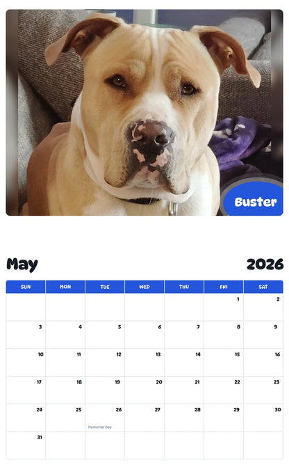 2026 - 2027 Buster - Pawidols Pet Calendar