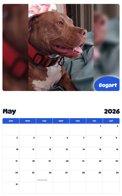 2026 - 2027 Bogart - Pawidols Pet Calendar