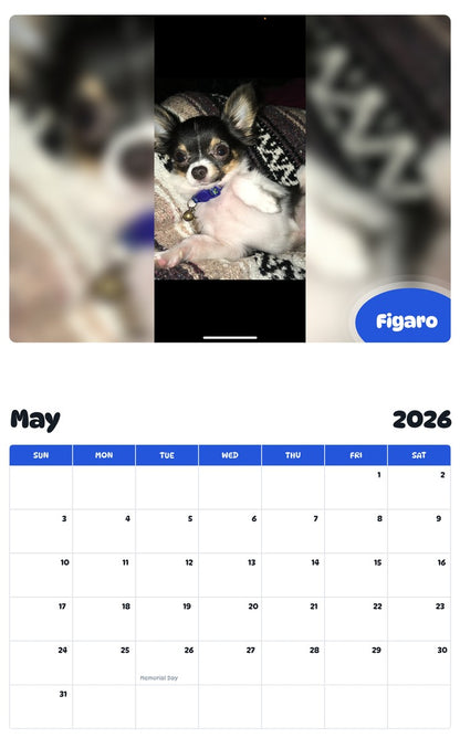 2026 - 2027 Figaro - Pawidols Pet Calendar