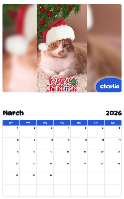November 2025 - October 2026 Charlie - Pawidols Pet Calendar