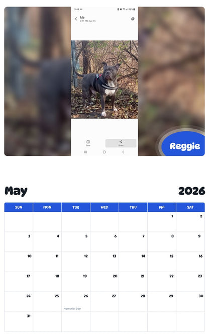 2026 - 2027 Reggie - Pawidols Pet Calendar