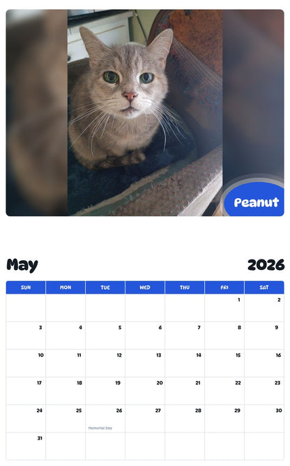 2026 - 2027 Peanut - Pawidols Pet Calendar