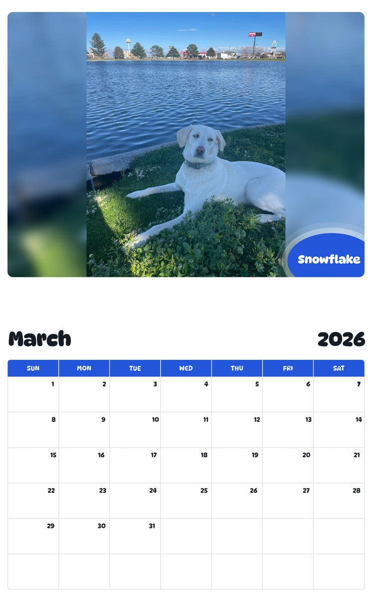 November 2025 - October 2026 Snowflake - Pawidols Pet Calendar
