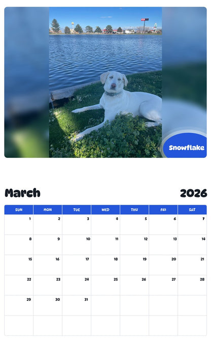 November 2025 - October 2026 Snowflake - Pawidols Pet Calendar