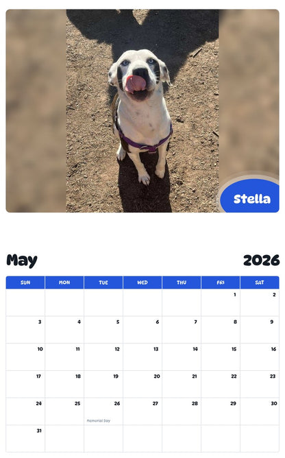 2026 - 2027 Stella - Pawidols Pet Calendar