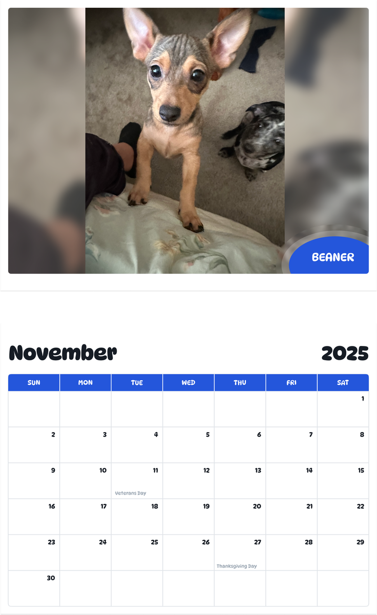July 2025 - June 2026 Beaner - Pawidols Pet Calendar