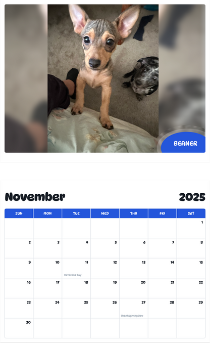 July 2025 - June 2026 Beaner - Pawidols Pet Calendar