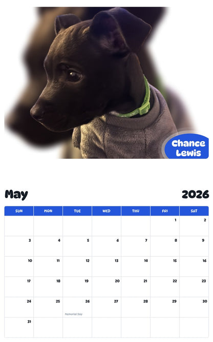 2026 - 2027 Chance Lewis - Pawidols Pet Calendar
