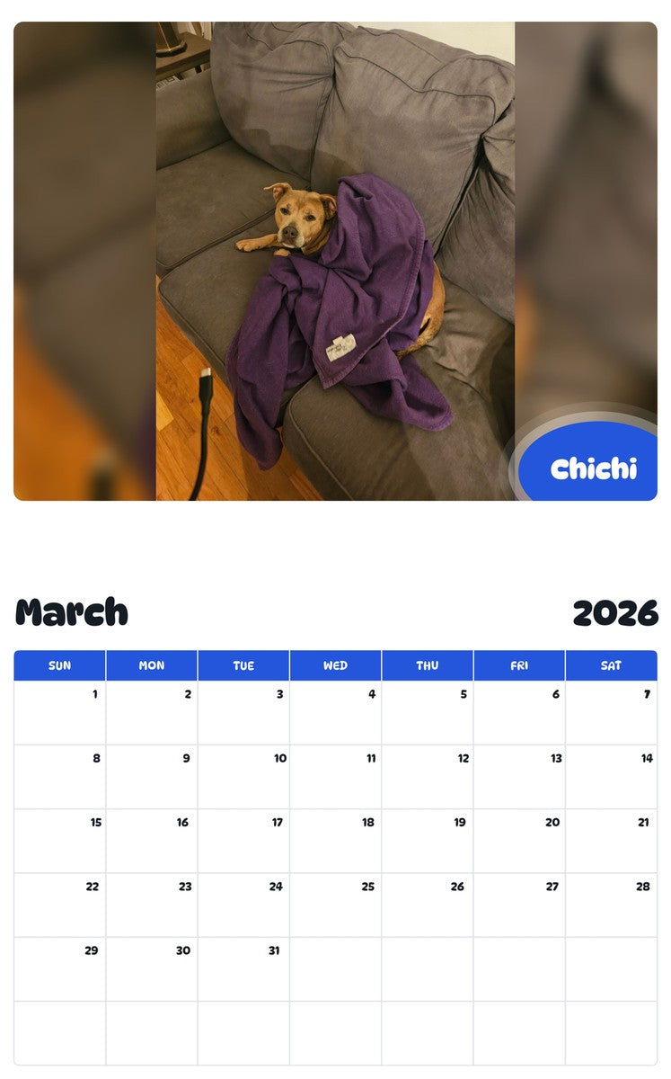 November 2025 - October 2026 Chichi - Pawidols Pet Calendar