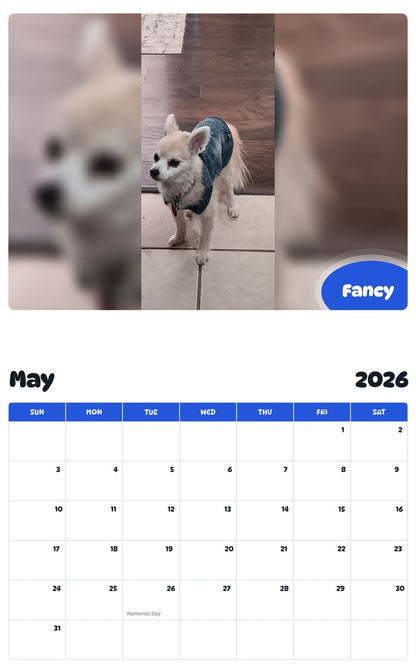 2026 - 2027 Fancy - Pawidols Pet Calendar