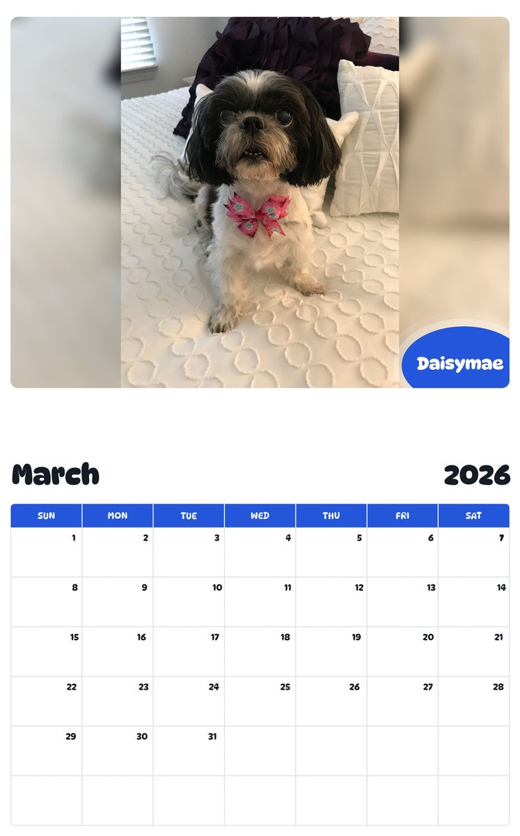 November 2025 - October 2026 Daisymae - Pawidols Pet Calendar
