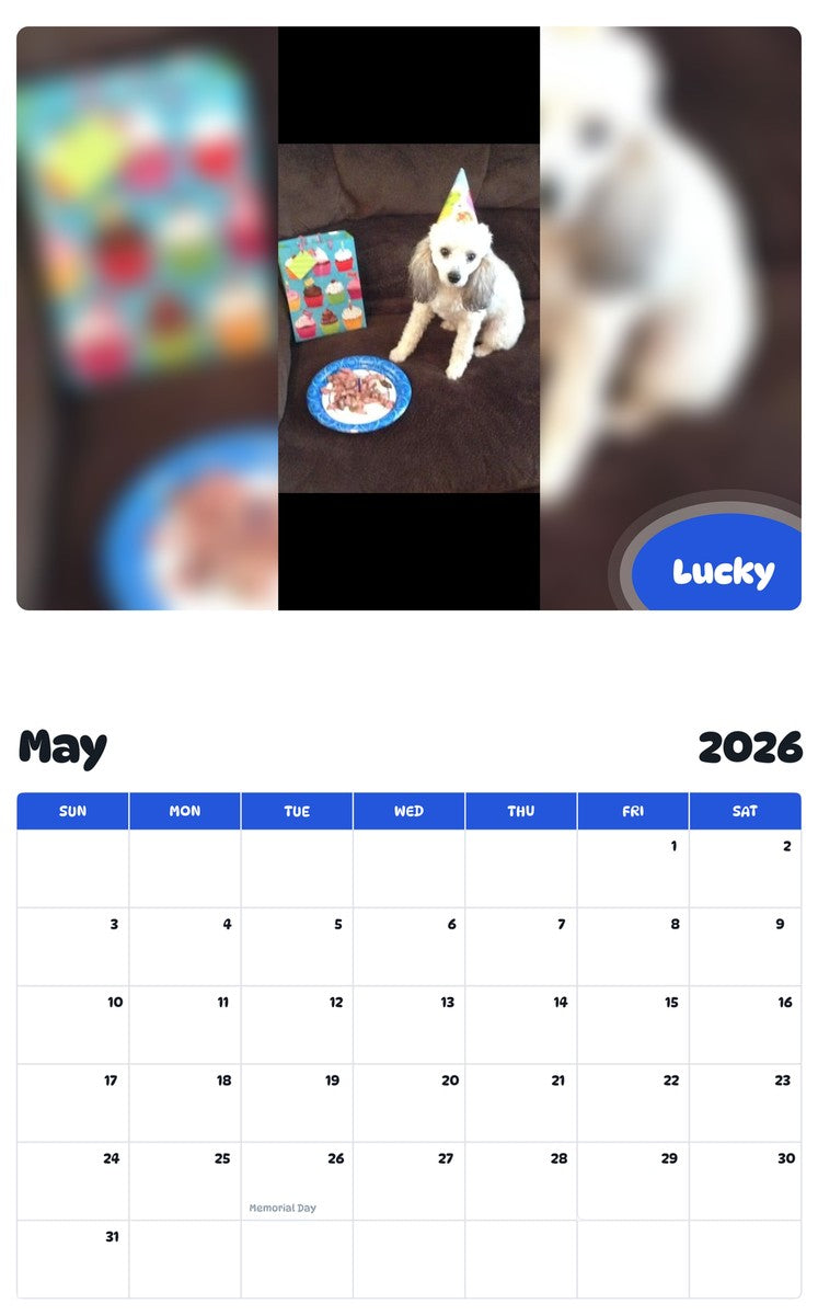 2026 - 2027 Lucky - Pawidols Pet Calendar