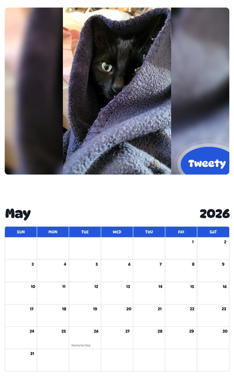 2026 - 2027 Tweety - Pawidols Pet Calendar