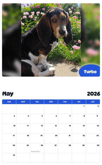 2026 - 2027 Turbo - Pawidols Pet Calendar