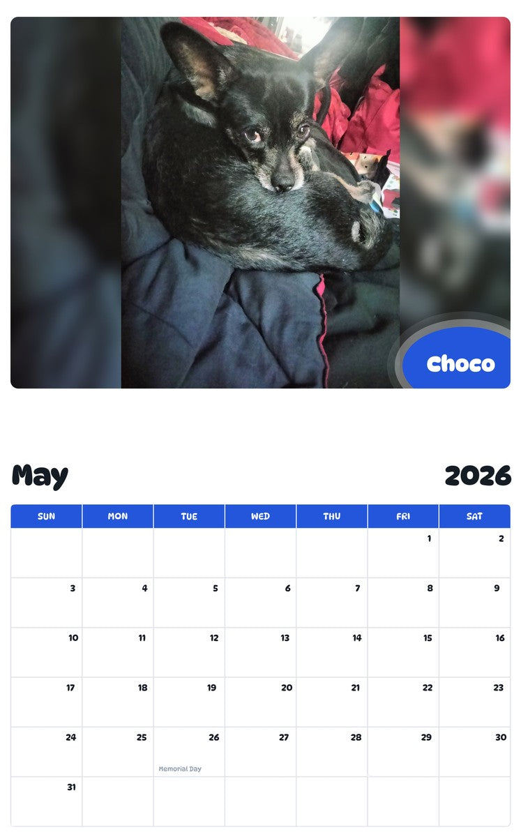 2026 - 2027 Choco - Pawidols Pet Calendar