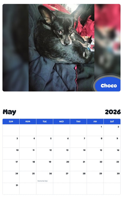 2026 - 2027 Choco - Pawidols Pet Calendar