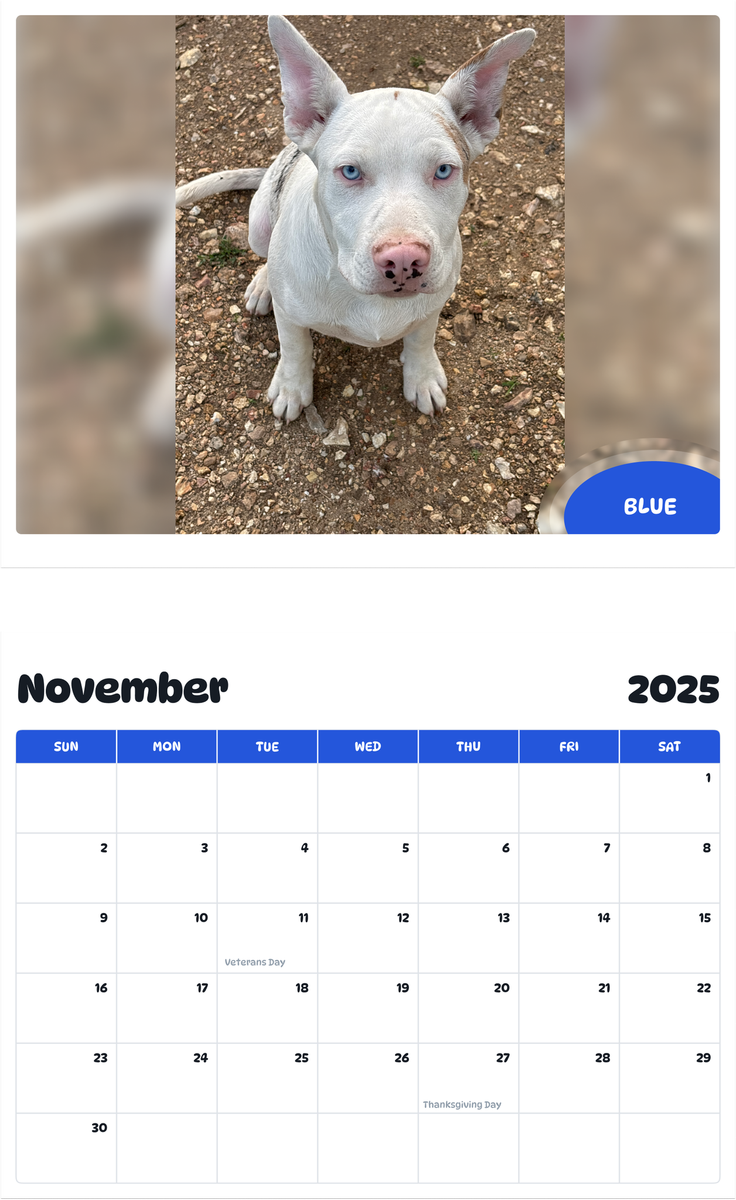 July 2025 - June 2026 Blue - Pawidols Pet Calendar