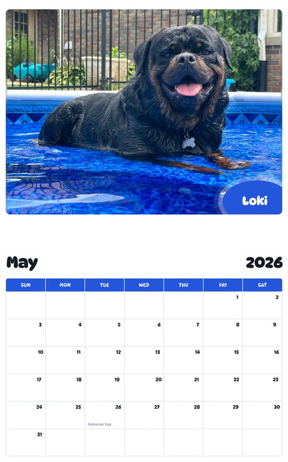 2026 - 2027 Loki - Pawidols Pet Calendar