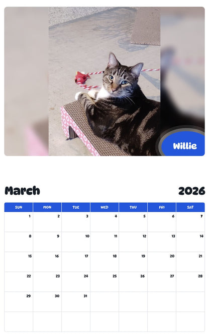 November 2025 - October 2026 Willie - Pawidols Pet Calendar