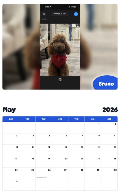 2026 - 2027 Bruno - Pawidols Pet Calendar
