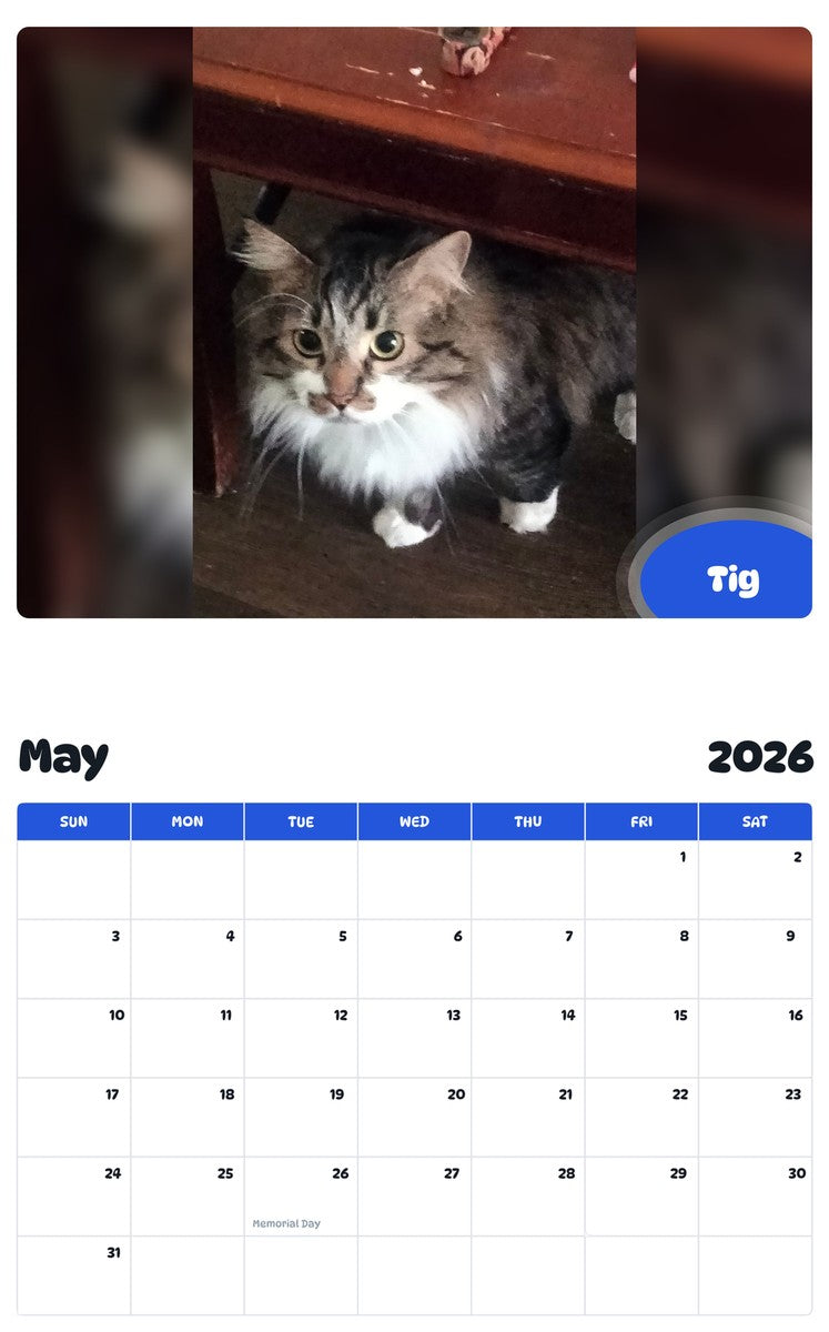 2026 - 2027 Tig - Pawidols Pet Calendar