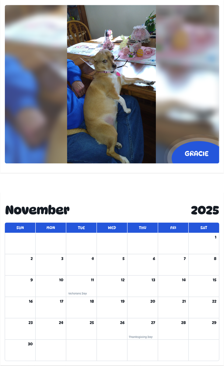 July 2025 - June 2026 Gracie - Pawidols Pet Calendar