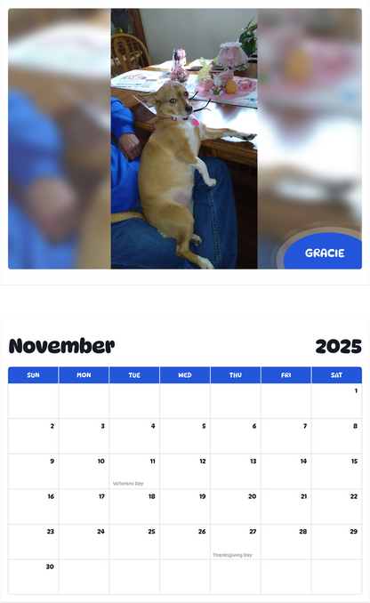 July 2025 - June 2026 Gracie - Pawidols Pet Calendar