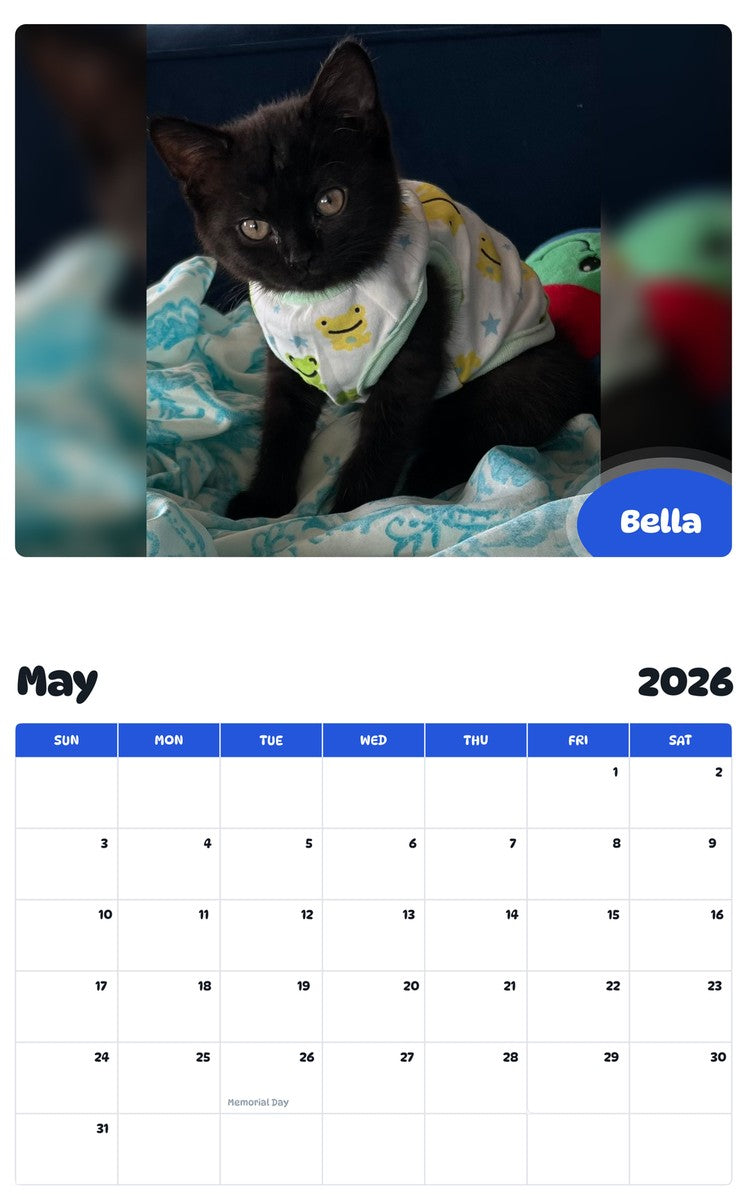 2026 - 2027 Bella - Pawidols Pet Calendar