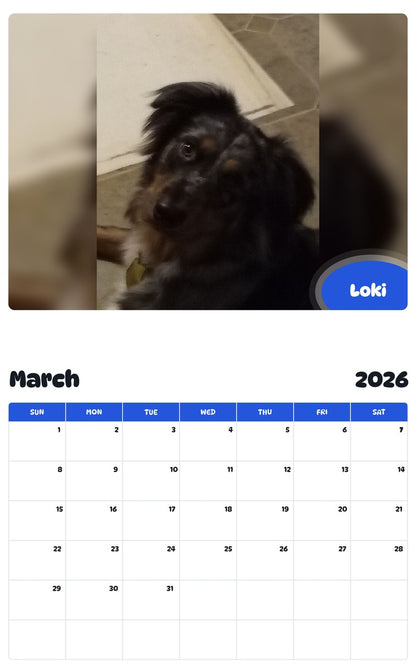 November 2025 - October 2026 Loki - Pawidols Pet Calendar