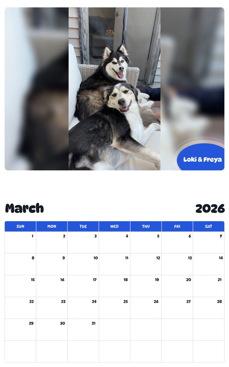 November 2025 - October 2026 Loki & Freya - Pawidols Pet Calendar