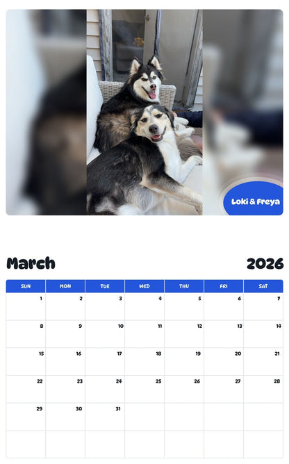November 2025 - October 2026 Loki & Freya - Pawidols Pet Calendar