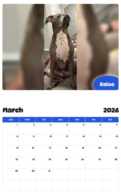 November 2025 - October 2026 Baloo - Pawidols Pet Calendar