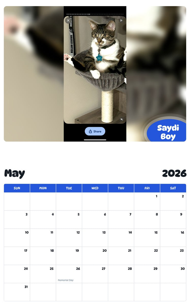 2026 - 2027 Saydi Boy - Pawidols Pet Calendar