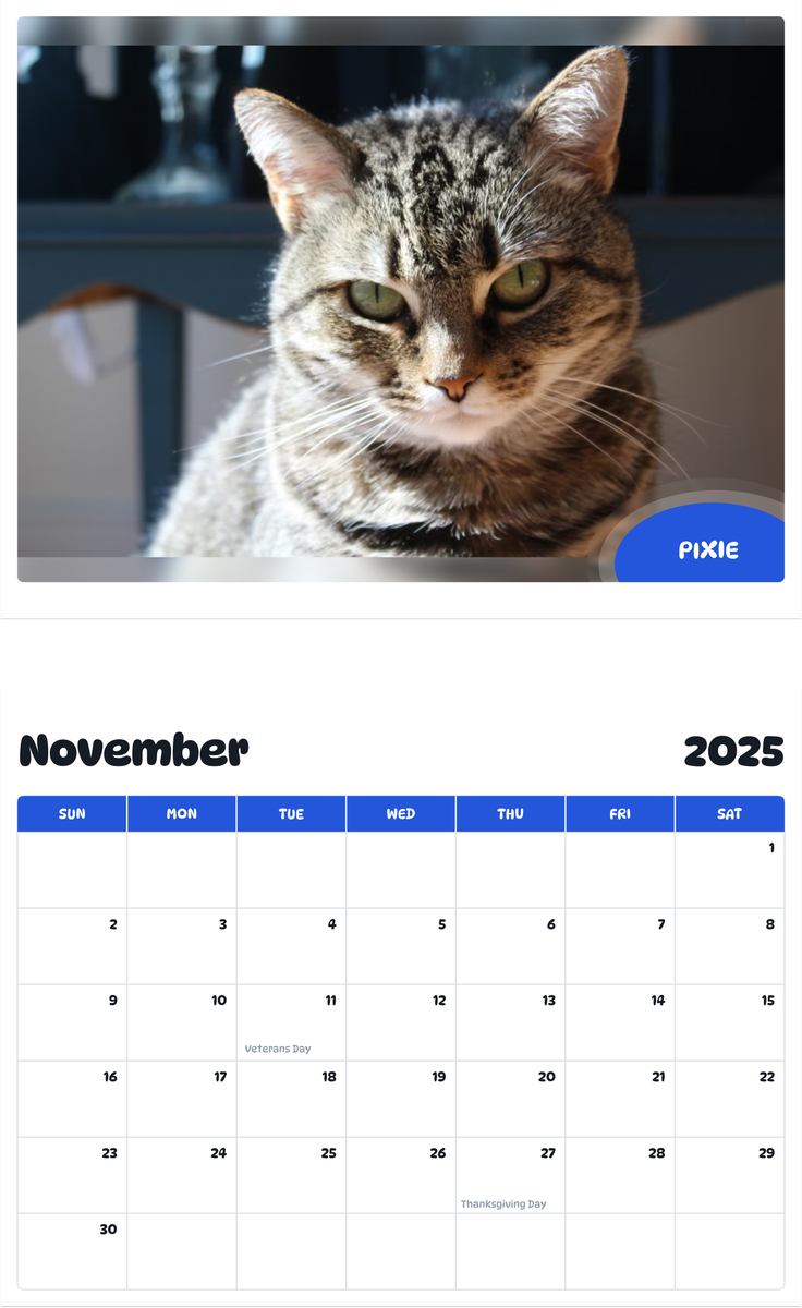 July 2025 - June 2026 Pixie - Pawidols Pet Calendar