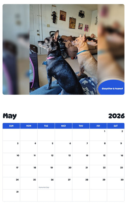 2026 - 2027 SissyStar & Peanut - Pawidols Pet Calendar