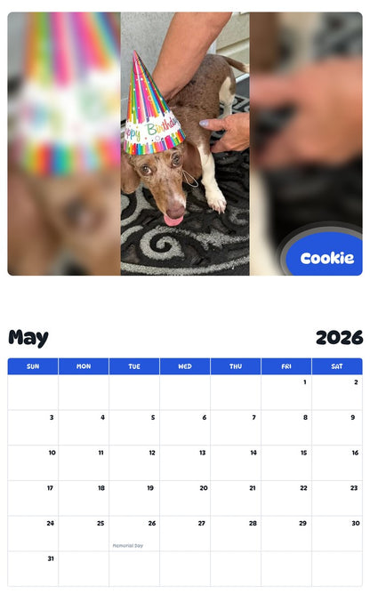 2026 - 2027 Cookie - Pawidols Pet Calendar