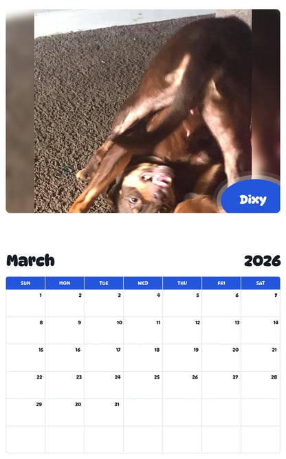 November 2025 - October 2026 Dixy - Pawidols Pet Calendar