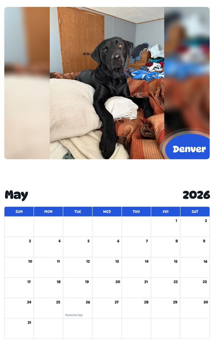 2026 - 2027 Denver - Pawidols Pet Calendar