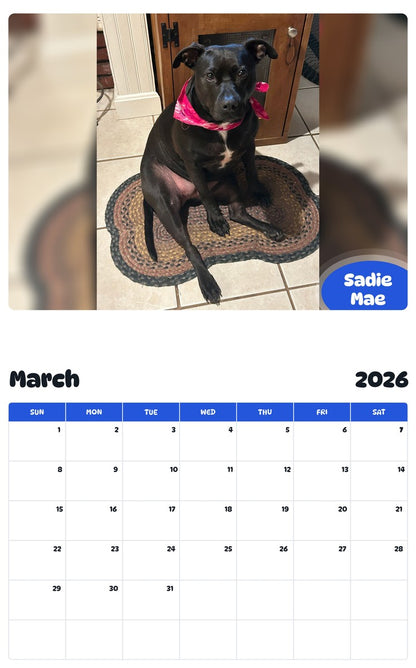 November 2025 - October 2026 Sadie Mae - Pawidols Pet Calendar