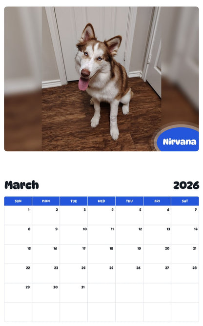 November 2025 - October 2026 Nirvana - Pawidols Pet Calendar