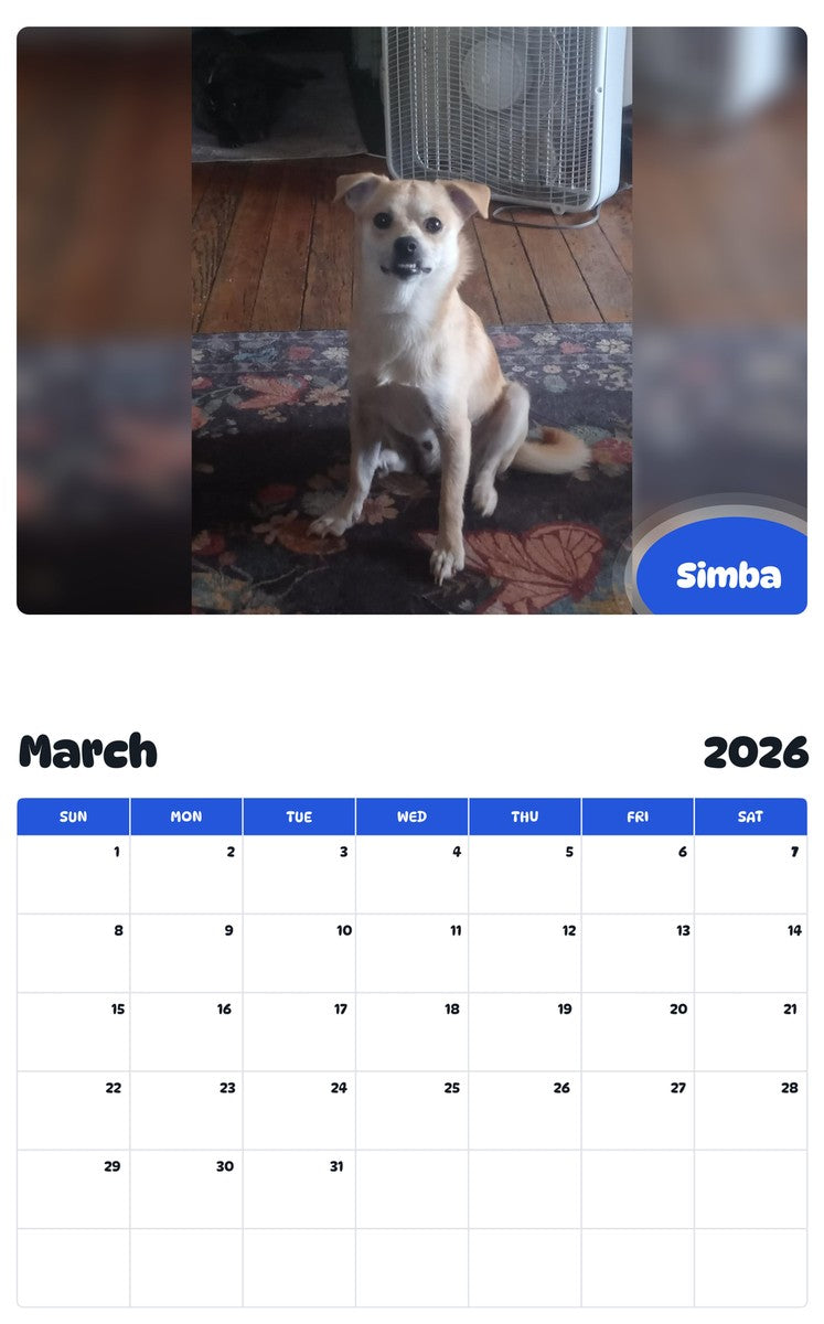 November 2025 - October 2026 Simba - Pawidols Pet Calendar