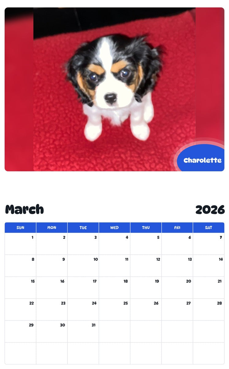 November 2025 - October 2026 Charolette - Pawidols Pet Calendar