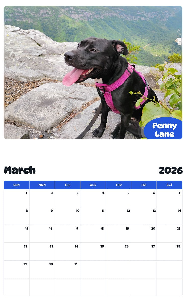 November 2025 - October 2026 Penny Lane - Pawidols Pet Calendar