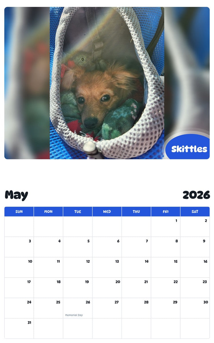 2026 - 2027 Skittles - Pawidols Pet Calendar