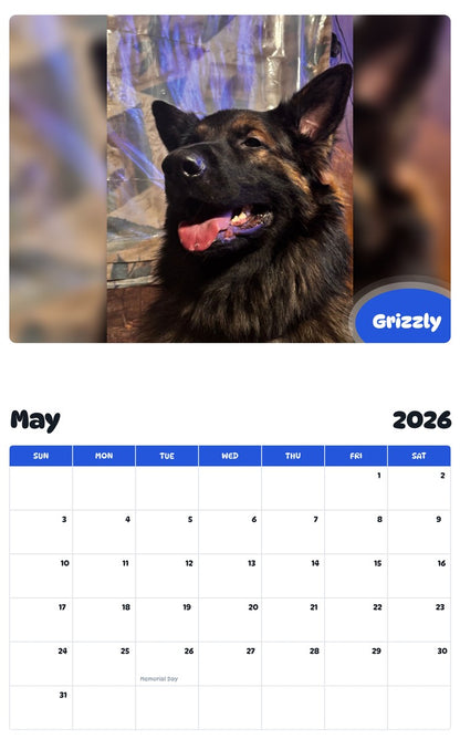 2026 - 2027 Grizzly - Pawidols Pet Calendar