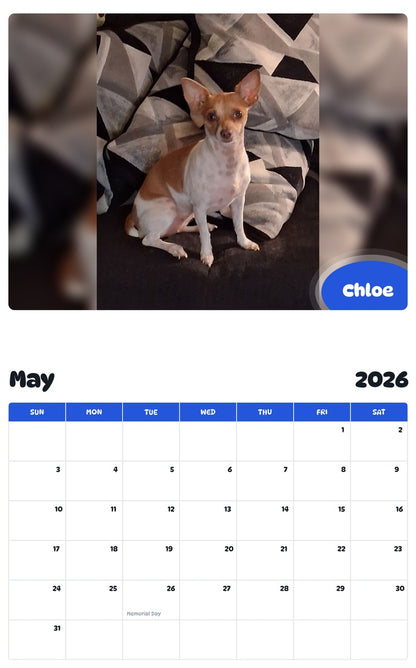 2026 - 2027 Chloe - Pawidols Pet Calendar