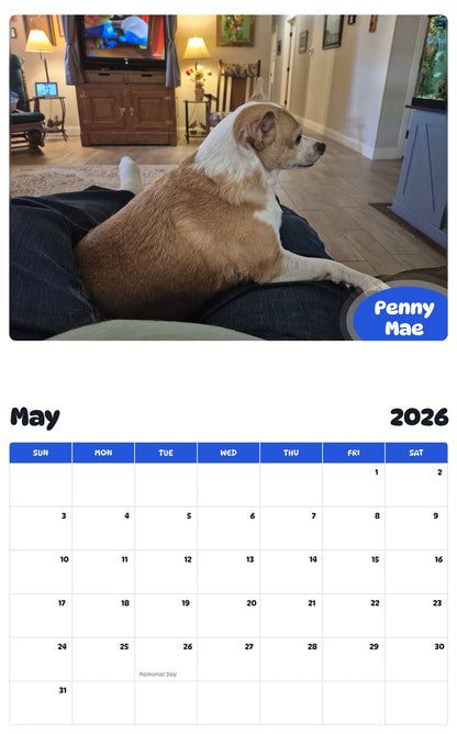 2026 - 2027 Penny Mae - Pawidols Pet Calendar